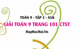 Giải Toán 9 trang 101 tập 1 Chân trời sáng tạo